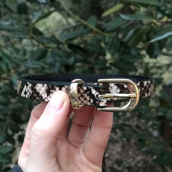 Urban Outfitters Accessories - NWOT Faux Snakeskin Skinny Waist Belt